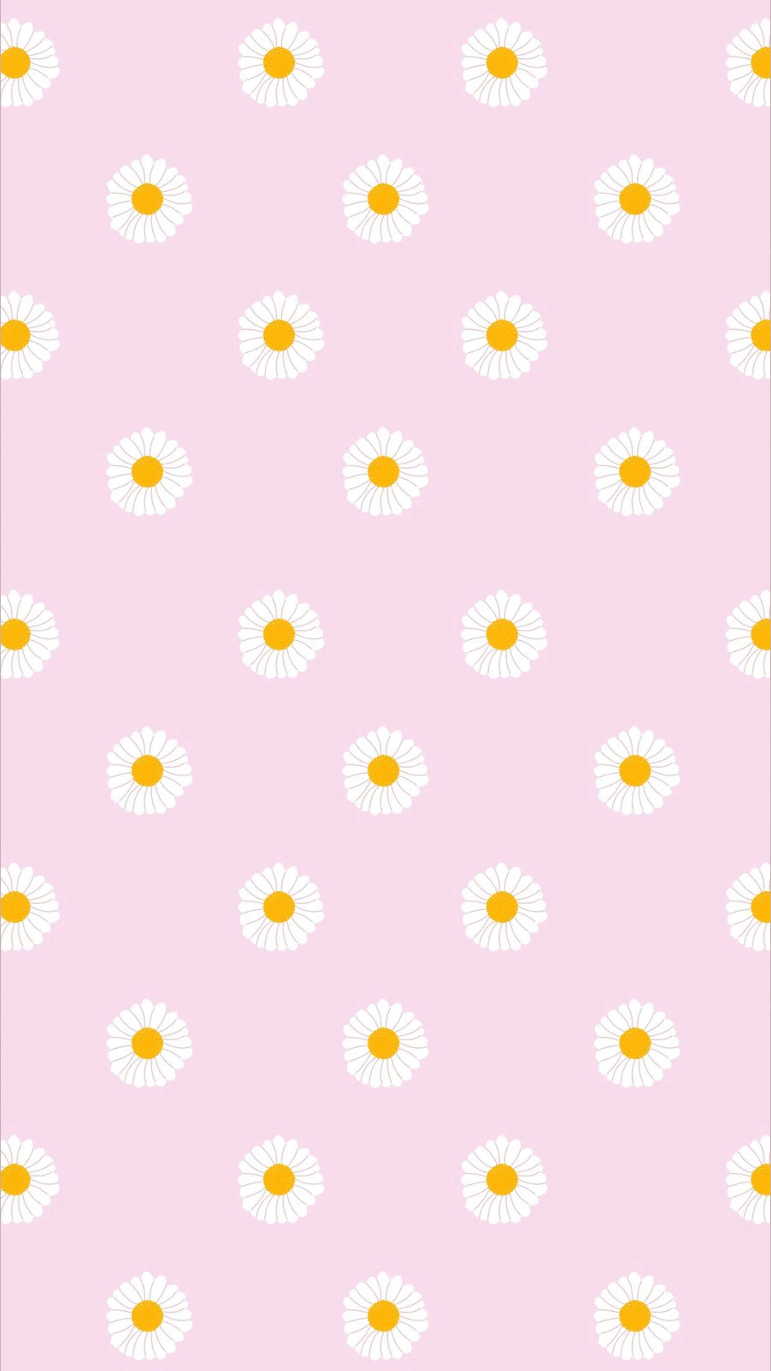 Rylee - Content Creator